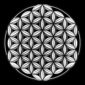 Geometric Flower of Life Clip Art - Digital Flower of Life Graphic Design PNG