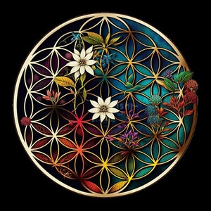 Kolorowy geometryczny kwiat życia Clip Art - cyfrowy kwiat życia projekt graficzny