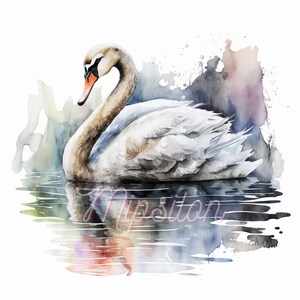 Water Color Swan Clipart, 12 High Quality Jpgs , Digital Download, Mugs ...