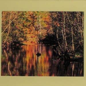 Autum Pond - Pond - Autum - Reflections - Autum Colors - Leaf Color - Autum Leaves