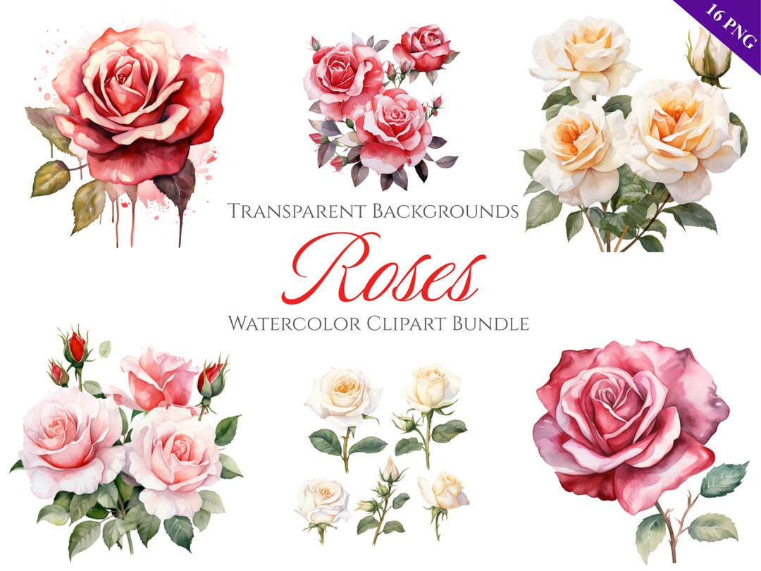 Watercolor Roses Clipart Bundle, Instant Digital Download, 16 High ...