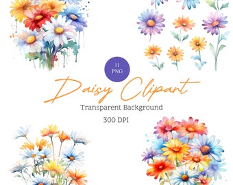 Watercolor Daisy Clipart Bundle, with transparent backgrounds, Commercial Use, 300 DPI, Floral Clipart, Instant Digital Download
