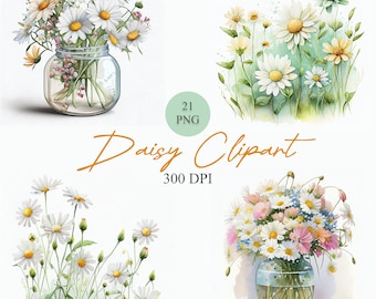 Watercolor Daisies Clipart PNG Bundle, Commercial Use, 300DPI, Vase, Bouquet,  Floral Clipart, Digital Download