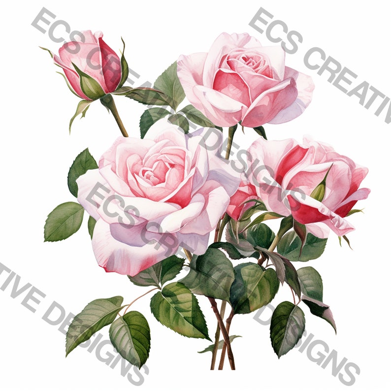 Watercolor Roses Clipart Bundle, Instant Digital Download, 16 High ...