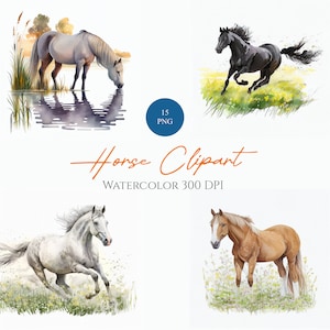 Horse Watercolor Clipart Bundle, Digital Download, Commercial Use, 300 DPI, Ideal for Scrapbooking, junk journal, card making etc