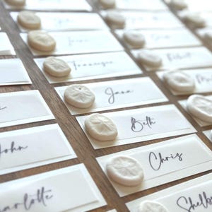 May include: Elegant place cards with names in cursive script, each adorned with a small, off-white sand dollar. The cards are arranged on a wooden surface, creating a sophisticated and beachy aesthetic.