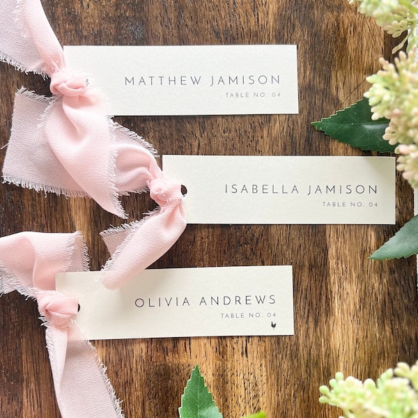 Modern Place Card with Chiffon Ribbon, Elegant and Unique Place Cards,  Table setting/Escort Card , Gold Edge