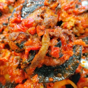 Peppered snail big (jumbo)