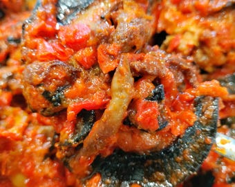 Peppered snail big (jumbo)