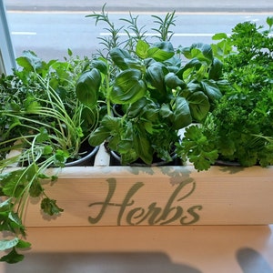 May include: A white wooden planter box with the word "Herbs" painted on the front. The planter is filled with various herbs, including rosemary, basil, parsley, and coriander.