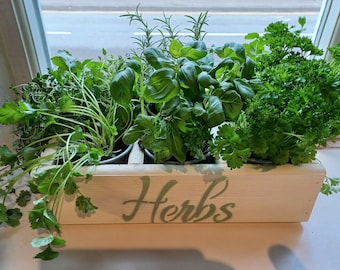 Window Herb Planter