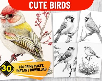 30 Cute Birds Simple  Coloring Book Pages, PDF Format, Instant Download | Grayscale version | Black & White | Abstract Line Art Grey