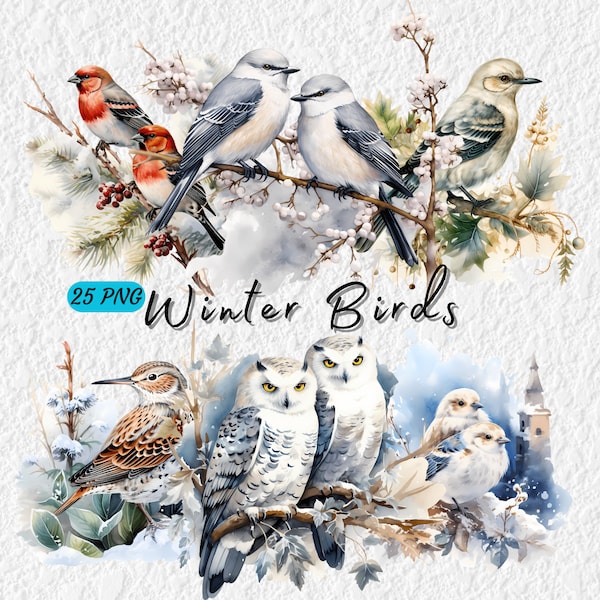 Charming Winter Birds Clipart, Watercolor Whimsical Winter Bird Art, Festive Snowy Bird, Digital Download, Free Commercial Use 300 DPI 25png