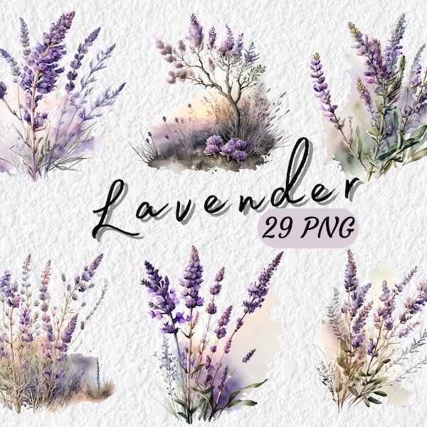 29 PNG Lavender Watercolor Clipart - Purple Floral and botanical - Digital Download, Free Commercial Use, for Scrapbook Journal Cards Mugs