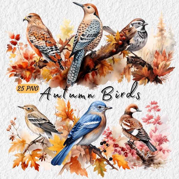 Charming Autumn Bird Clipart, Watercolor Whimsical Autumn Bird Art, Festive Fall Bird, Digital Download, Free Commercial Use 300 DPI 25png