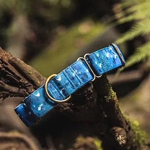 Collar & Leash Set, Martingale Dog Collar Leash Set, Martingale Collar, Dog Leash, Dog Collar, Dog Lead, Mountain Dog Collar