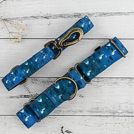 Halsband & Leine Set, Martingale Hundehalsband Leine Set, Martingale  Halsband, Hundeleine, Hundehalsband, Hundeleine, Sennenhund Halsband -  Etsy.de