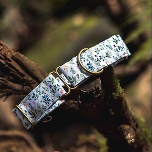 Martingale Collar Set: Recycled Canvas Leash - Plant and Tree Design