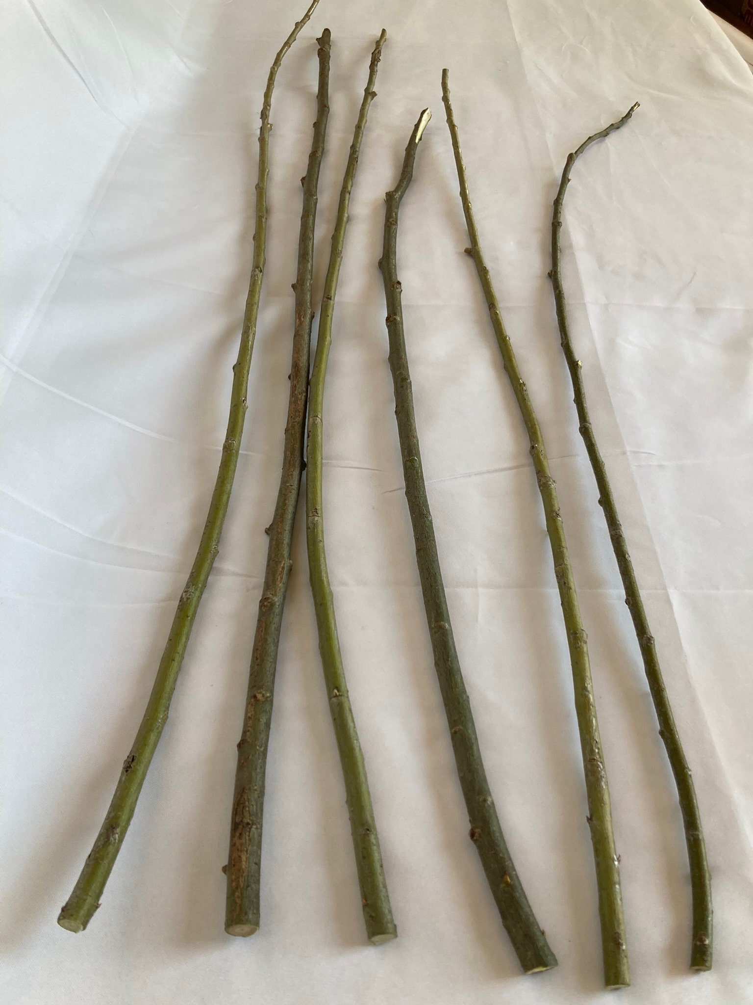 Willow Rods Splints Set of 6 Willow Rods for BDSM and Punishment, Lengths From 75 Cm to 90 ...