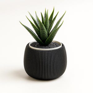 Peut inclure: Une petite plante succulente artificielle dans un pot noir nervuré avec un bord blanc. La plante a de longues feuilles vertes pointues. Le pot est rond et posé sur une surface blanche.