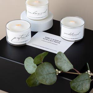 Op de afbeelding: Drie glazen potkaarsen met witte was en houten lonten worden getoond op een zwarte doos en een witte sokkel. De labels luiden "emberwood saffron", "pistachio vanilla" en "sandalwood coconut". Een kaart leest "The Candle Collection". Groene bladeren staan op de voorgrond.