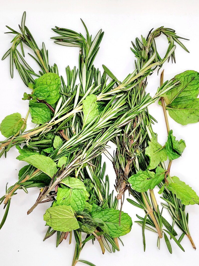 Rosemary Mint Hair & Scalp Hair Butter Food Biotin Infused Etsy