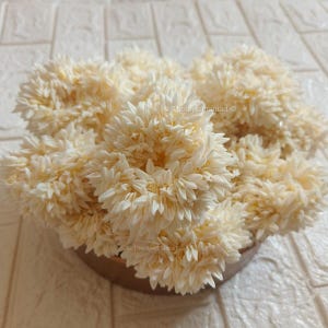 Jasmine Gajra Hair Scrunchie, Artificial Flower Hair Bun Accessory for Indian Wedding, Haldi, Mehndi, Ganey Ganaas, Bracelets,Sangeet,Favors