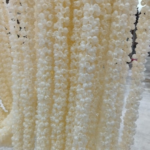 May include: Close-up of multiple strands of off-white, flower-shaped garlands. The garlands are densely packed, creating a textured, layered effect. The flowers are small and clustered, with a delicate, almost translucent appearance.