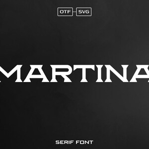Serif Font, Wide Font, Bold Font, Unique Font, Logo Font, Vintage Font, Display Font, SVG Font, Fonts