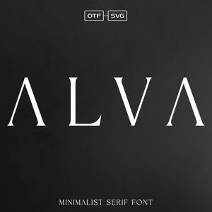 Serif Font, Elegant Font, Luxury Font, Thin Font, Branding Font, Logo Font, Minimal Font, Modern Serif Font,  Editorial Font, Vintage, Fonts