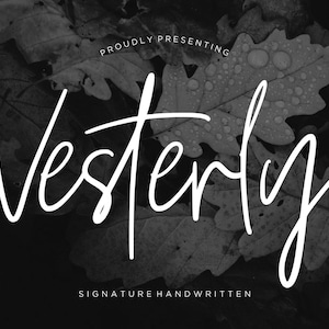 Vesterly Signature Wedding Font, Script Font, Handwritten Font, Calligraphy Font, Elegant Font, Classy Font