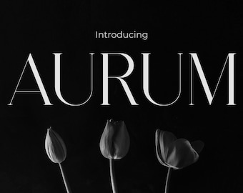 Aurum Serif Font - Elegance Font, Beauty Font, Luxury Font, Modern Serif Font, Graceful Font, Classic Font, Cricut Font, Procreate Font