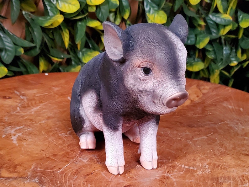 Sitting Baby Pig Outdoor Garden Statue Farm Animal Statue Etsy