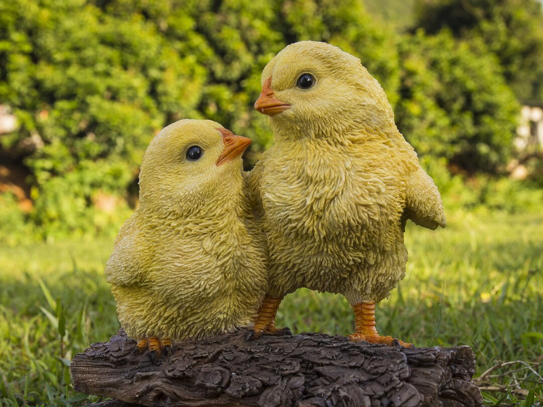 Chicks Garden Statue Chicks Statue Farm Animals Home Etsy