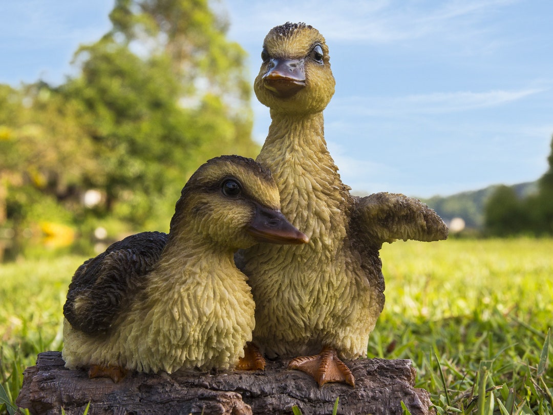 Ducklings Garden Statue Duck Statue Farm Animals Home Etsy