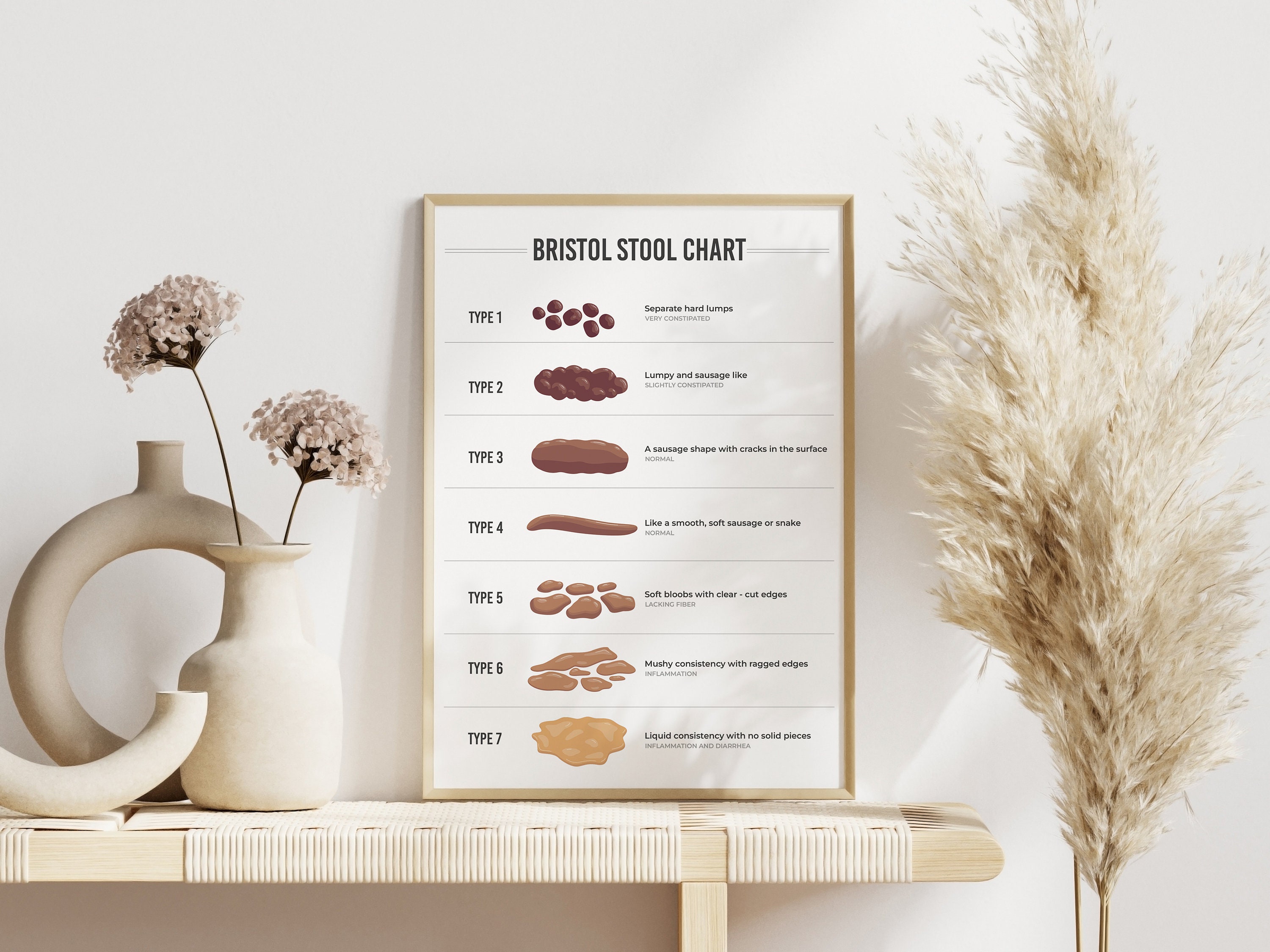 Bristol Stool Chart | Digestive Health Guide (digital Download) - Etsy