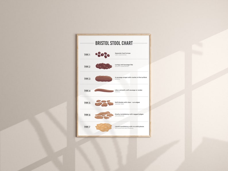 The Bristol Stool Chart | Lab Wall Art | Laboratory Specialist | A