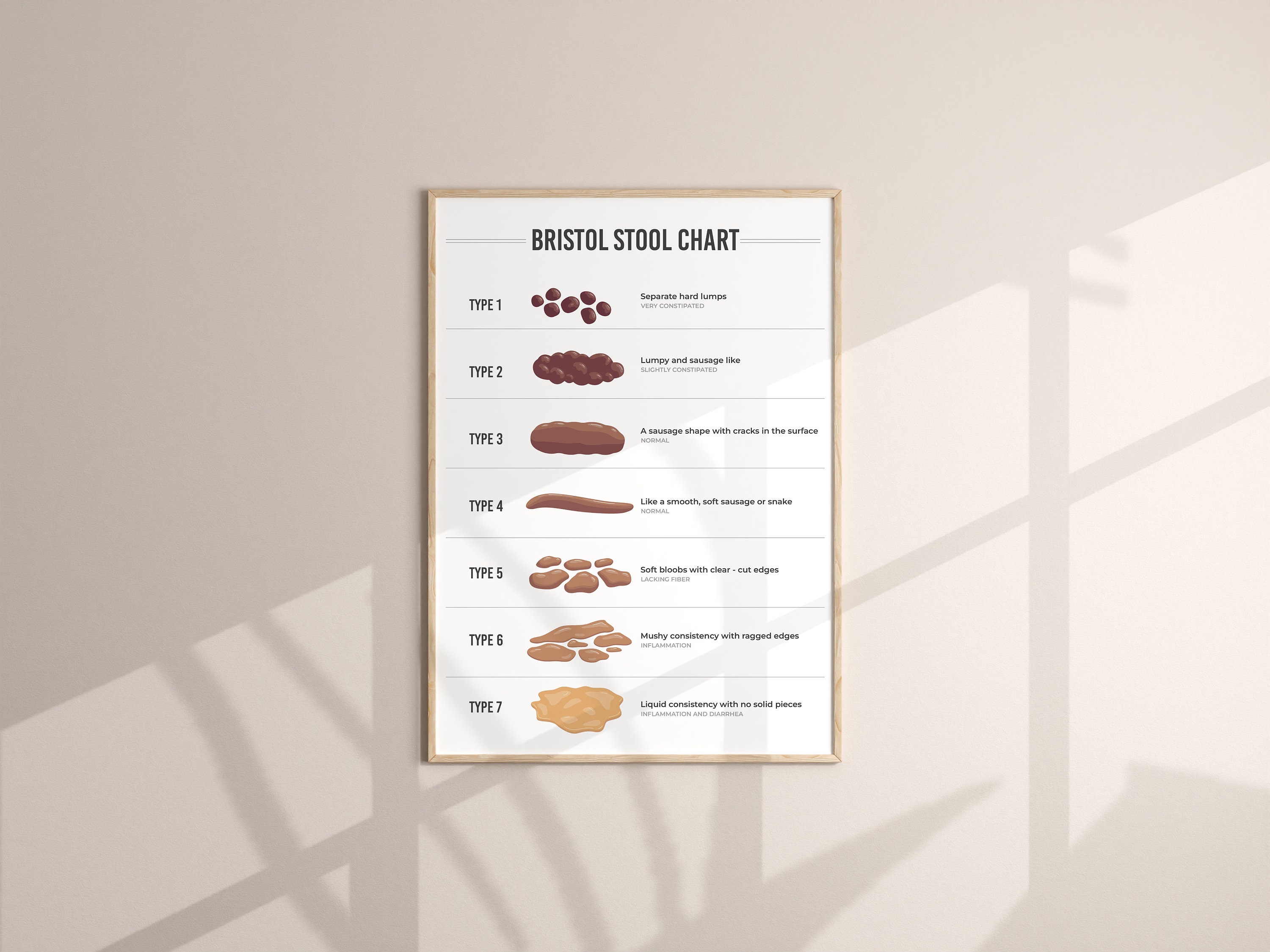 Bristol Stool Chart | Digestive Health Guide (digital Download) - Etsy