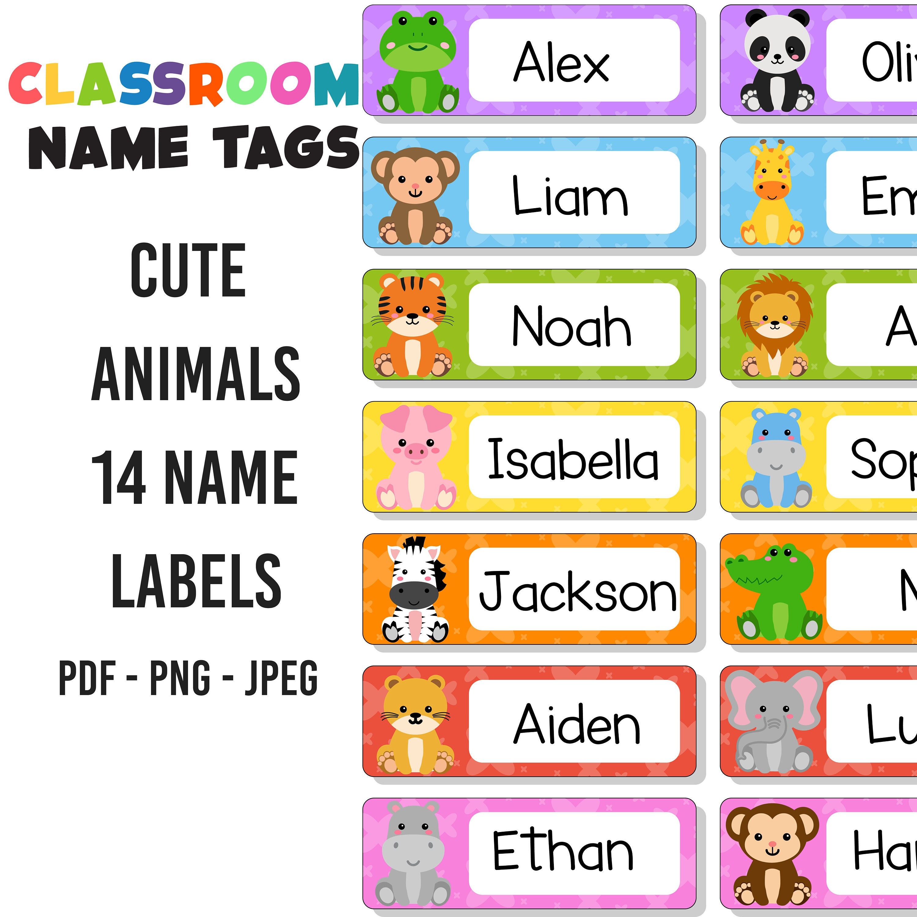 Classroom Name Tags Template Cute Animals Rainbow Editable Printable
