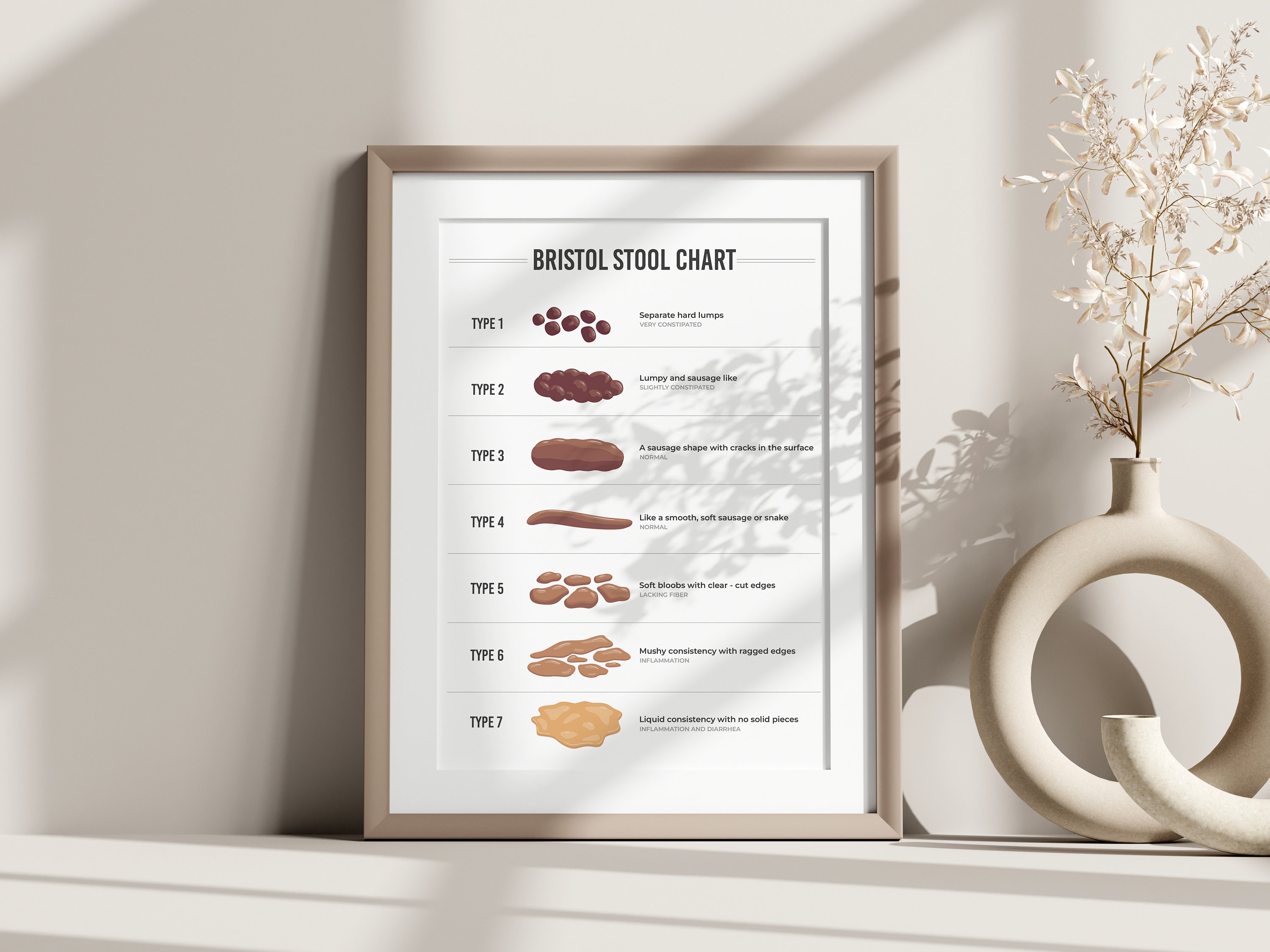 The Bristol Stool Chart | Lab Wall Art | Laboratory Specialist | A