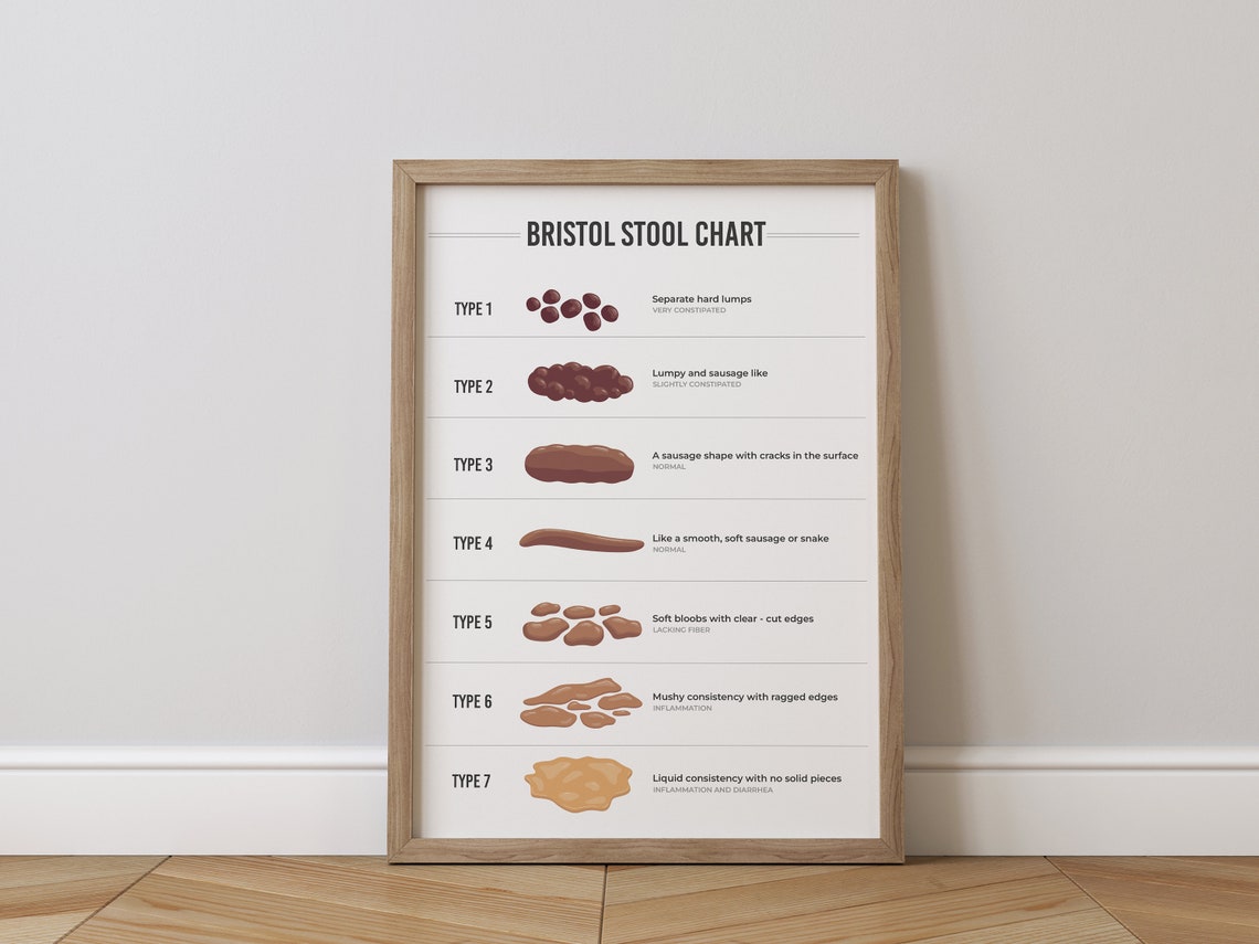 The Bristol Stool Chart Lab Wall Art Laboratory Specialist A Visual