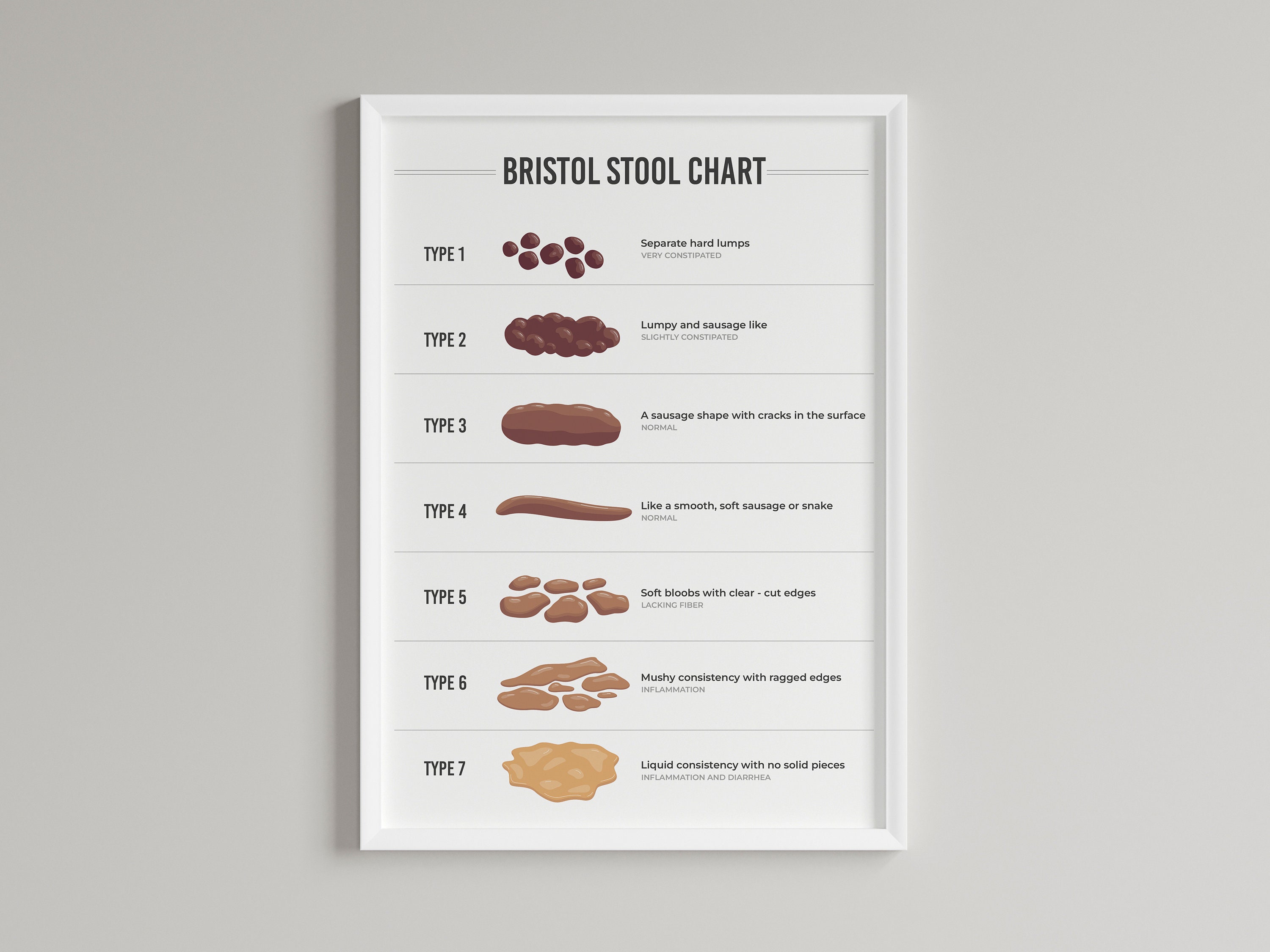 The Bristol Stool Chart | Lab Wall Art | Laboratory Specialist | A