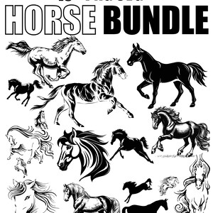 Horse png svg Bundle , Horse png svg files , Horse shirt gift svg png , digital download png svg