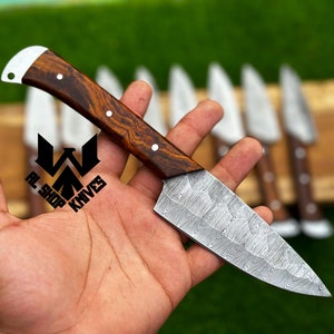 Lot of 12 Damascus Steak Knives, Hand Forged Chef Knife, Handmade Kitchen Knives, BBQ Steak Knives Set, Damascus Chef Set, BBQ Chef Set USA