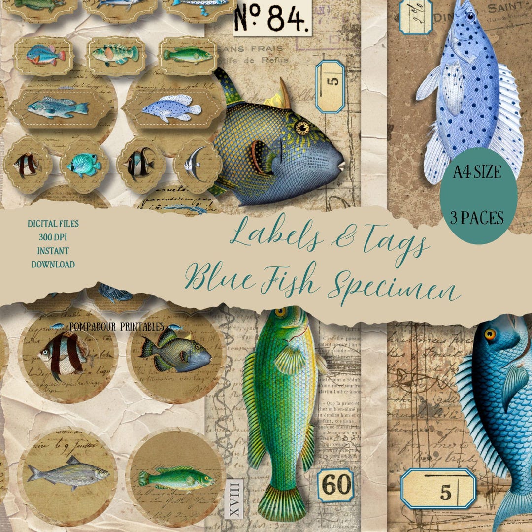 Simple Labels For Fish DIGITAL Antique Blue Fish Specimen Labels and Tags Digital Collage ...