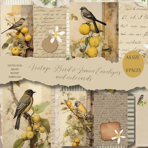 Enveloppes NUMÉRIQUES oiseau antique avec cartes assorties Feuille de collage numérique à télécharger - Imprimables à téléchargement immédiat