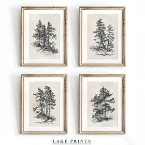 Pine Tree Sketch Print Set of 4, Tree Sketch Art, Sketch Drawing, Sketch Printable Sketch Art | Vintage Sketch Art | DIGITAL PRINTABLE S674