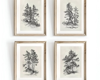 Pine Tree Sketch Print Set of 4, Tree Sketch Art, Sketch Drawing, Sketch Printable Sketch Art | Vintage Sketch Art | DIGITAL PRINTABLE S674
