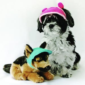 May include: A black and white dog wearing a pink crochet hat with two small ears, and a stuffed dog wearing a teal crochet cap. The stuffed dog is brown, black, and tan. Both are set against a white background.