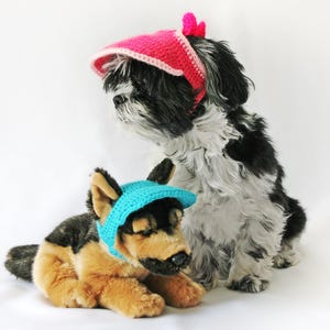 May include: A black and white dog and a stuffed dog wearing matching crocheted hats. The dog on the right is wearing a pink hat with a white brim and a pink bow. The stuffed dog is wearing a blue hat.